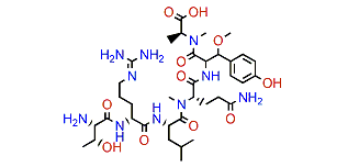 Callipeltin E